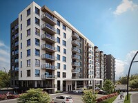 Belle-Dame Symbiocité