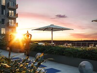 Le Danaus Condominiums – photo 3